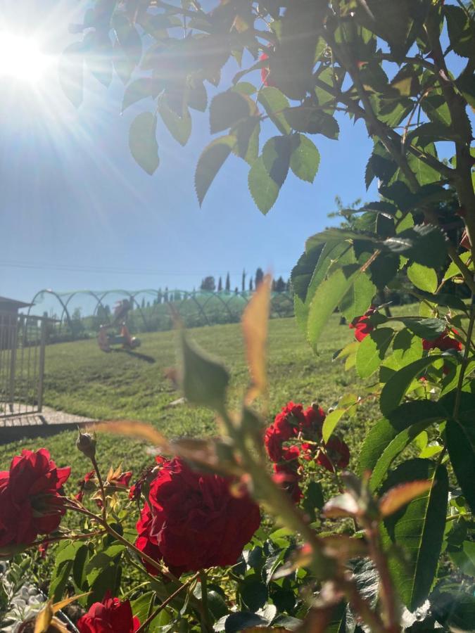 B&B” La Tezza” Torre de' Roveri Екстериор снимка
